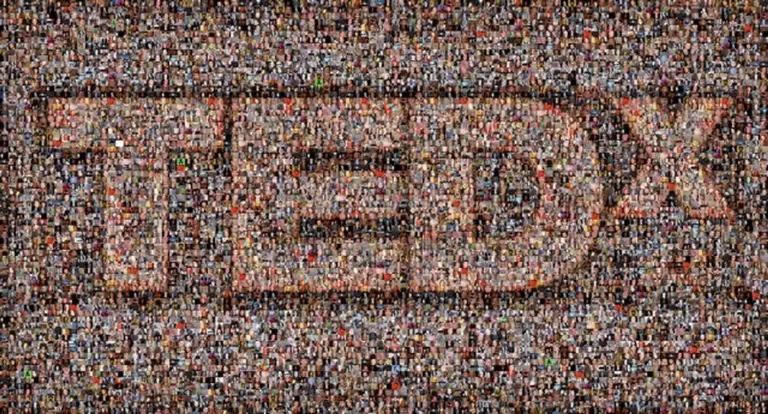 TEDx realiza curación de videos