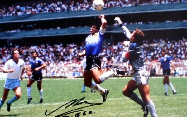 Experimenta con estos videos interactivos